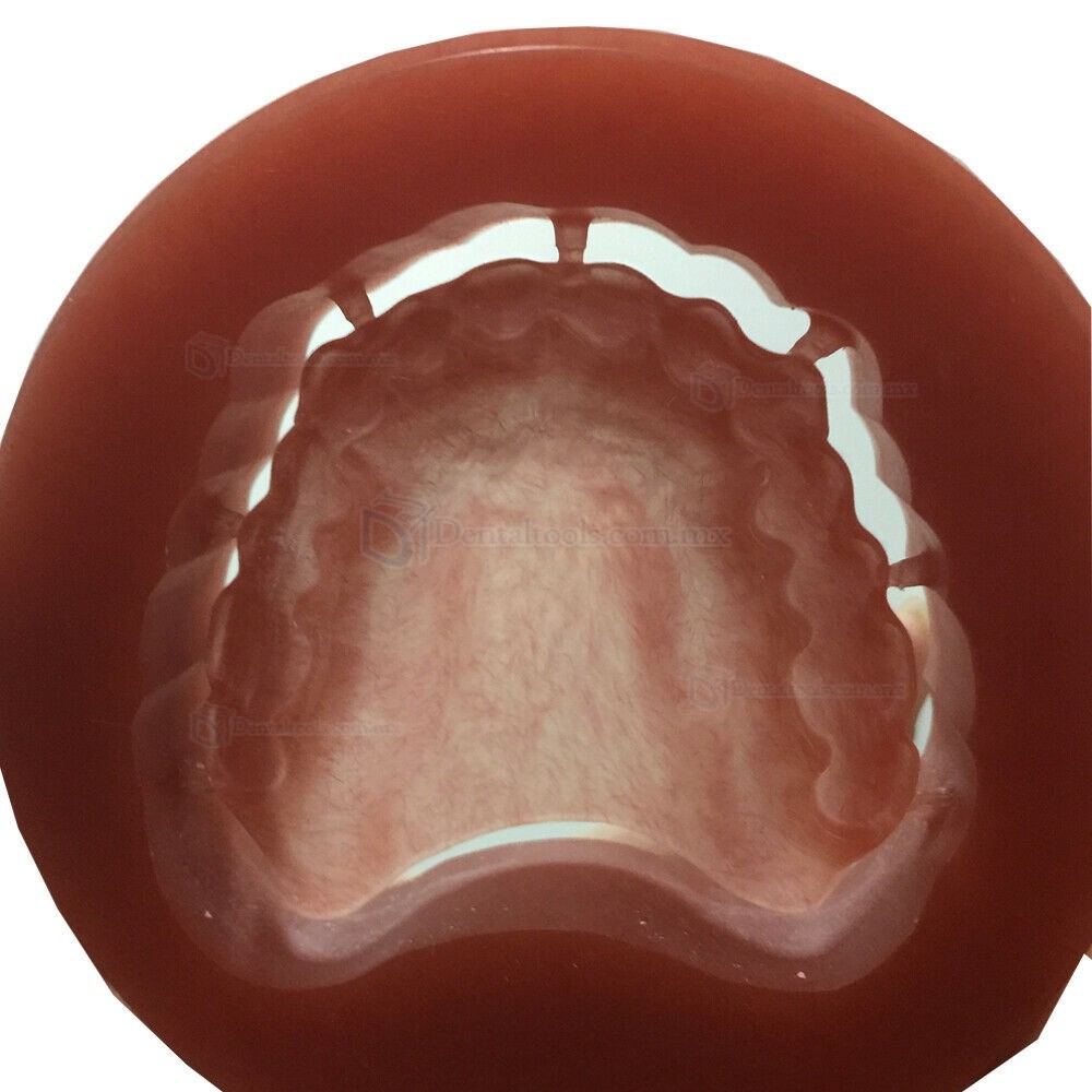 5 Pcs Material de laboratorio dental para disco de bloques de PMMA rosa del sistema Wieland