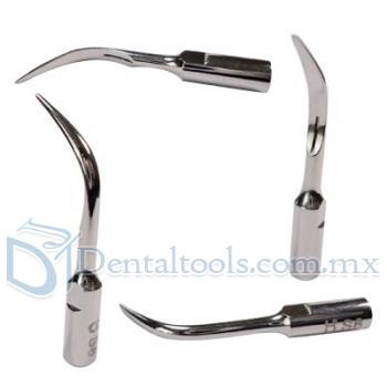 3Pcs Baola® Escalador Ultrasónico Puntas Dentales S6