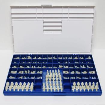 180 Pcs/Kit de policarbonato Temporal coronas dentales caja