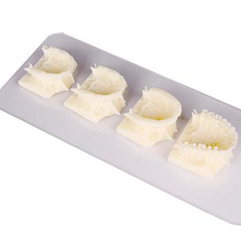 Caliente Dental maxillary grupo pantalla enseñanza cavidad Modelo