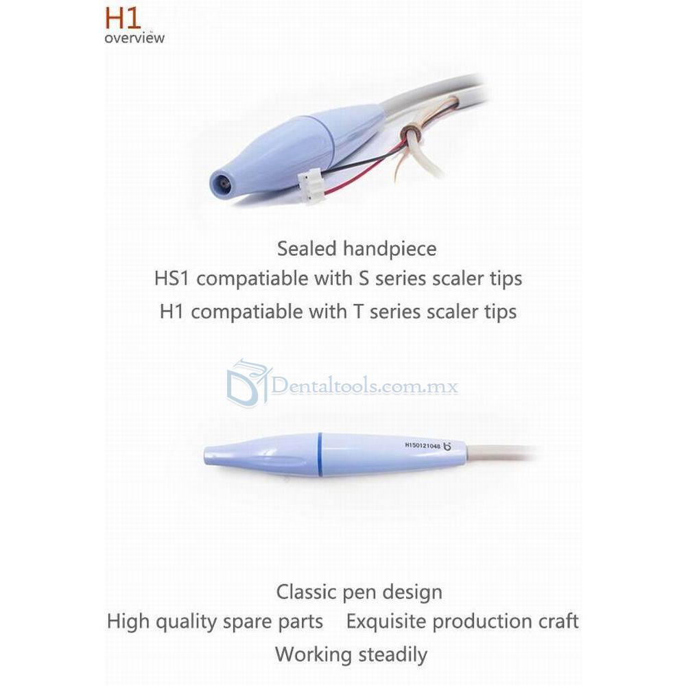 Baolai H1 Dental C5 Escalador Ultrasónico Incorporado para Silla Dental con 4 Puntos