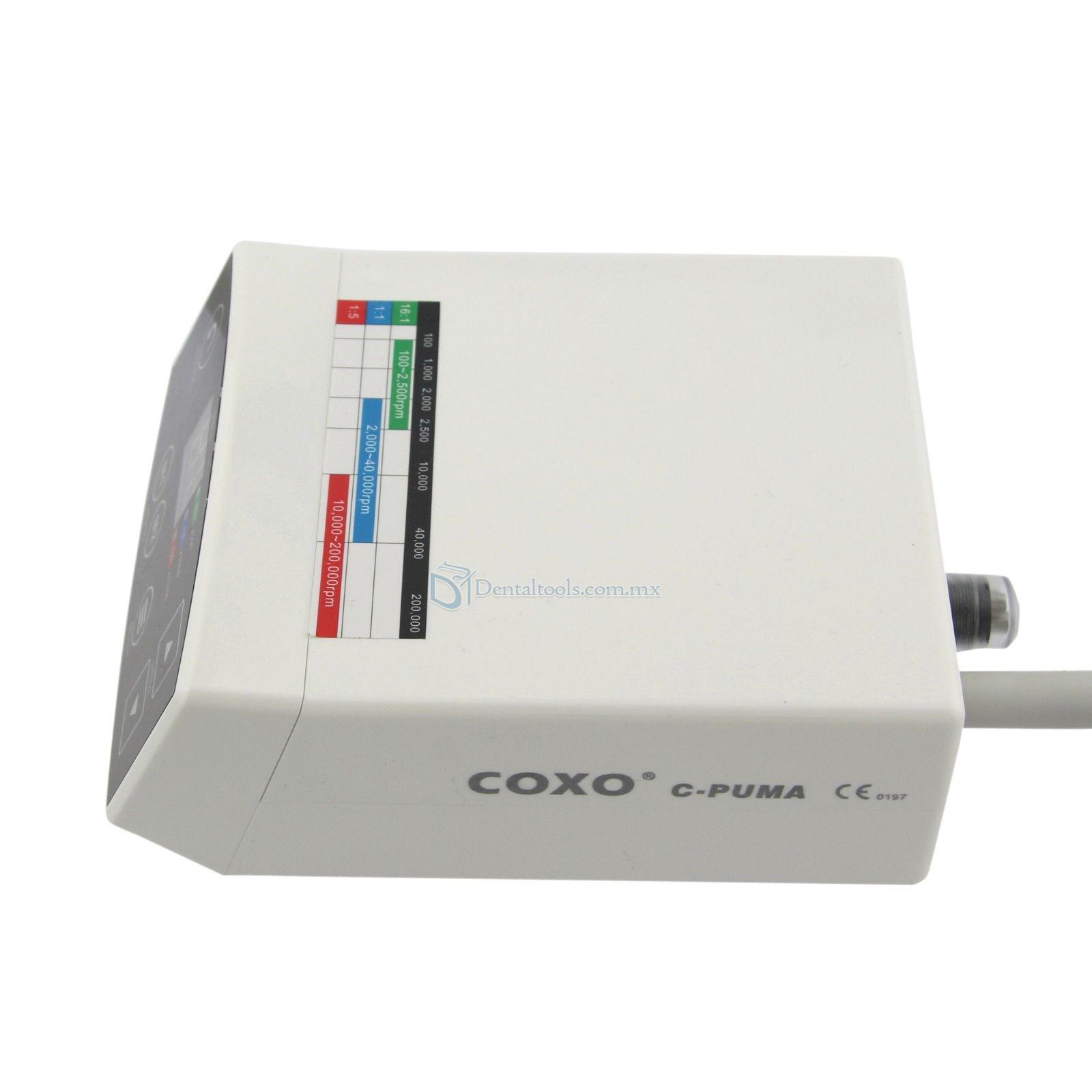 YUSENDENT COXO C-Puma Micromotor Eléctrico Dental sin Escobillas LED Compatible con NSK Z95L X95L