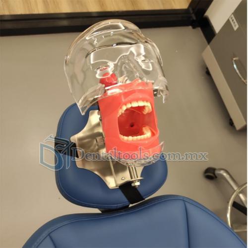  Fantoma Dental Maniquí Completo para Reposacabezas de Sillón Dental Compatible con Nissin Kilgore