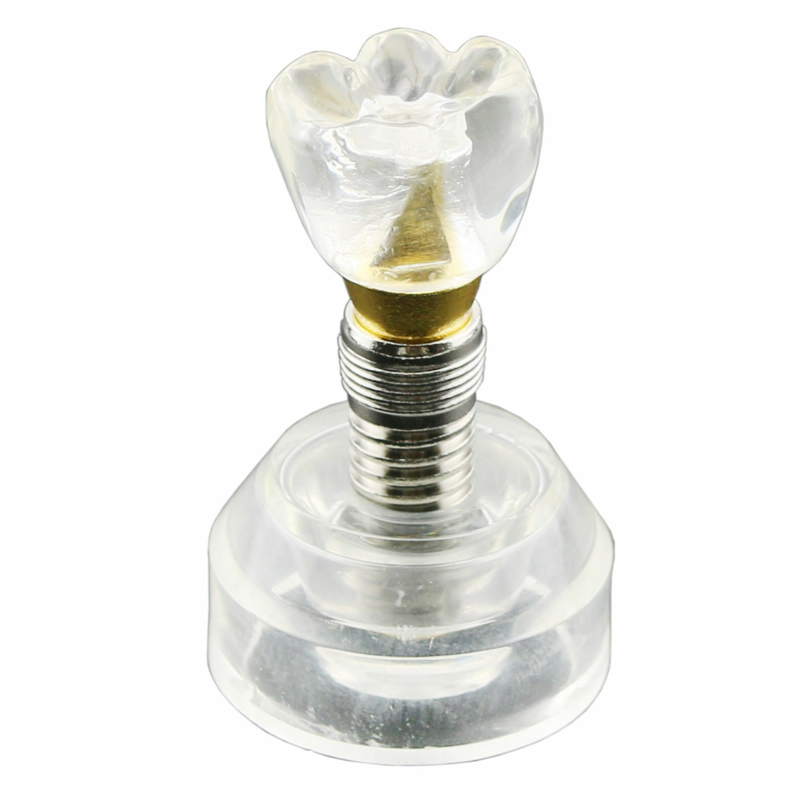 Modelo demostrativo de implante dental unitario con corona 2020