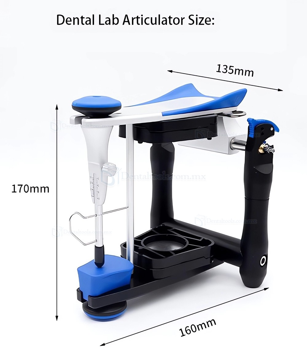 Articulador Dental de Laboratorio BN Valor Promedio Compatible con Placas de Montaje Artex y Amann Girrbach