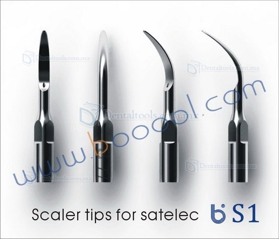 3Pcs Baola® Escalador Ultrasónico Consejos S1 Compatible Con Satelec/NSK