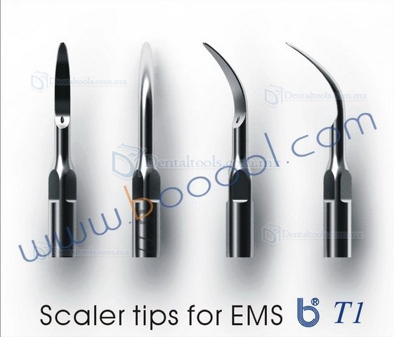 3Pcs Baola® Dental Escalador Ultrasónico Consejos T1 Compatible Con BAOLAI/EMS/MECTRON