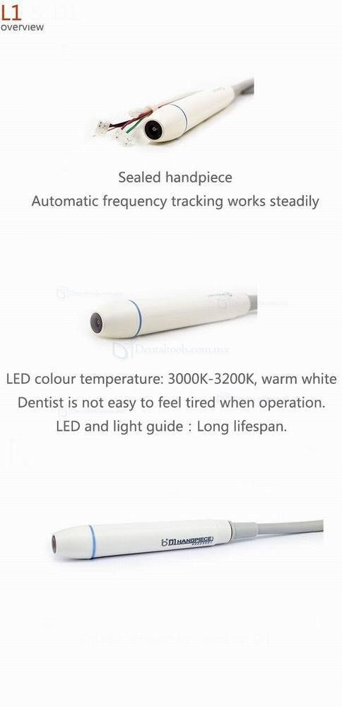 Baolai L1 LED Escalador Ultrasónico Incorporado para Silla Dental