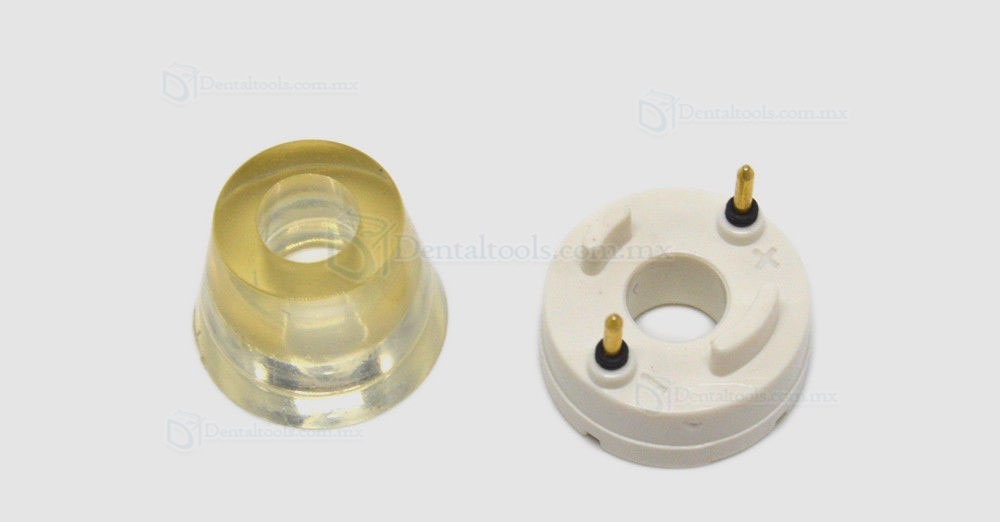 Baola® L3 Pieza de mano Ultrasónico LED EMS Compatible