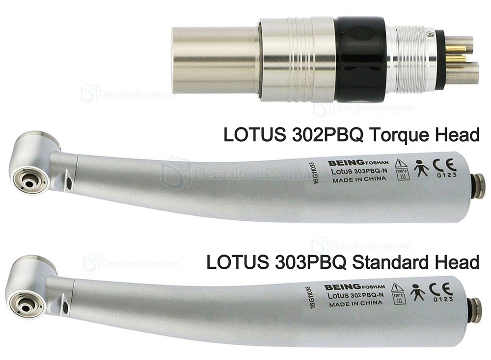 BEING Lotus 302/303PBQ Turbina de fibra &oacute;ptica con acoplamiento NSK Phatelus