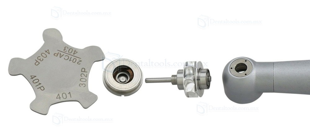 BEING Lotus 302/303PQ Pieza de mano de alta velocidad compatible con acoplamiento r&aacute;pido NSK