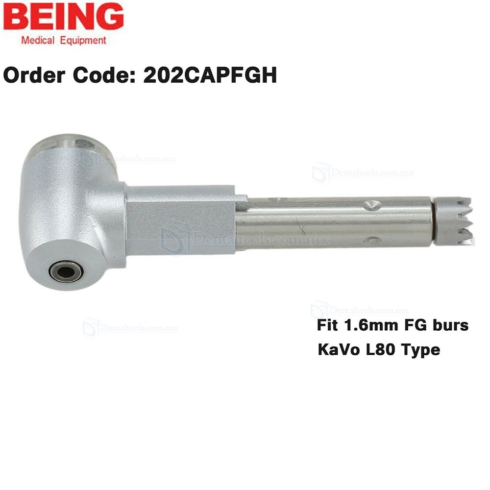 BEING Cabezal de contraángulo para profilaxis y endodoncia compatible con KaVo L67 L80 L31 BEING Cabezal de contraángulo para profilaxis y endodoncia compatible con KaVo L67 L80 L31