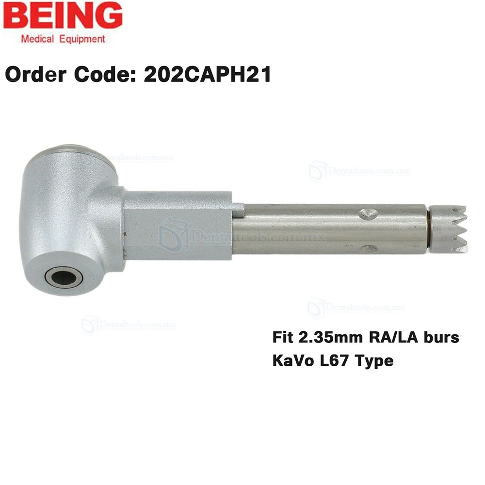 BEING Cabezal de contraángulo para profilaxis y endodoncia compatible con KaVo L67 L80 L31 BEING Cabezal de contraángulo para profilaxis y endodoncia compatible con KaVo L67 L80 L31
