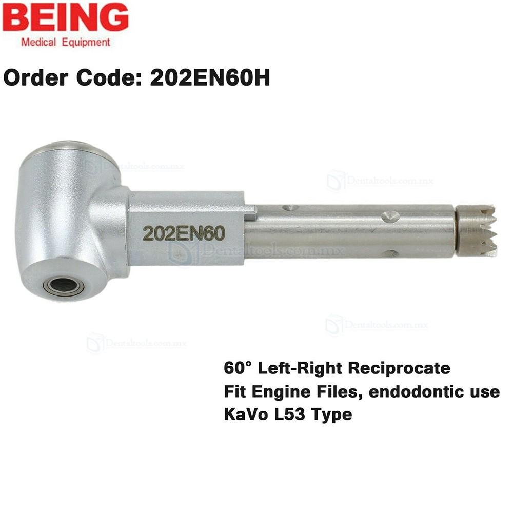 BEING Cabezal de contraángulo para profilaxis y endodoncia compatible con KaVo L67 L80 L31 BEING Cabezal de contraángulo para profilaxis y endodoncia compatible con KaVo L67 L80 L31