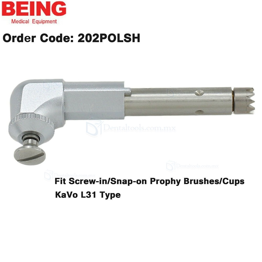 BEING Cabezal de contraángulo para profilaxis y endodoncia compatible con KaVo L67 L80 L31 BEING Cabezal de contraángulo para profilaxis y endodoncia compatible con KaVo L67 L80 L31