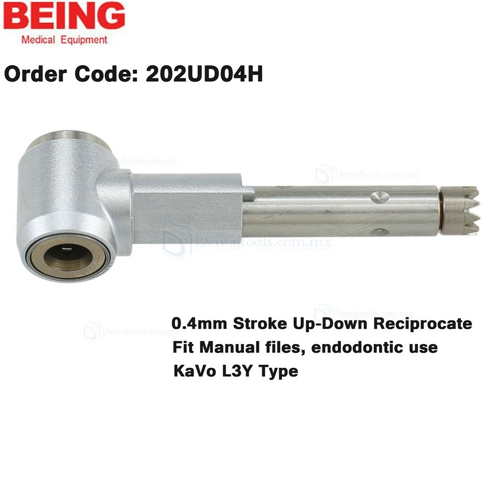 BEING Cabezal de contraángulo para profilaxis y endodoncia compatible con KaVo L67 L80 L31 BEING Cabezal de contraángulo para profilaxis y endodoncia compatible con KaVo L67 L80 L31