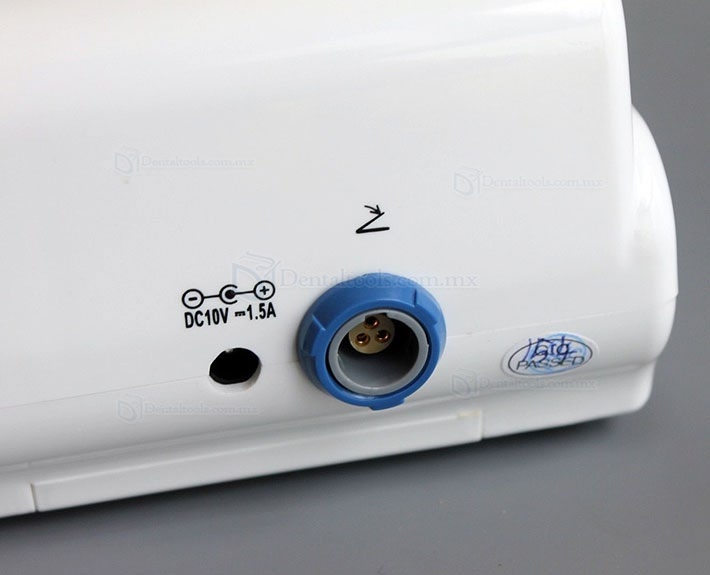 YUSENDENT COXO Motor Endodoncia con Localizadores de ápices Dental C-Smart-I+