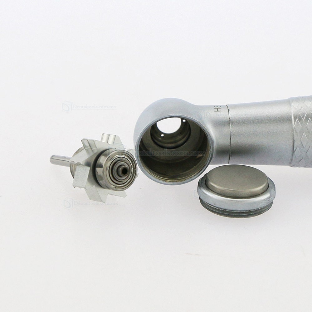 YUSENDENT COXO Generador Estándar LED Turbina Dental Cabeza de Torsión CX207-F-TP