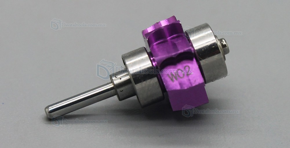 W&H Sabra C-SWSABT tendencia Dental pieza de mano turbina de repuesto de repuesto Rotor Coxo CXW02