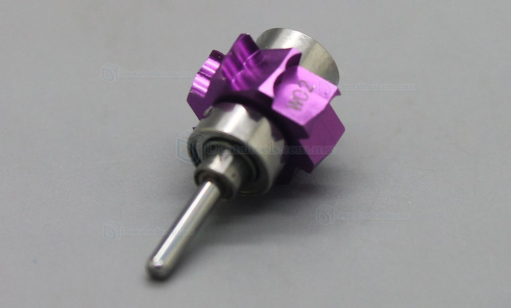 W&H Sabra C-SWSABT tendencia Dental pieza de mano turbina de repuesto de repuesto Rotor Coxo CXW02