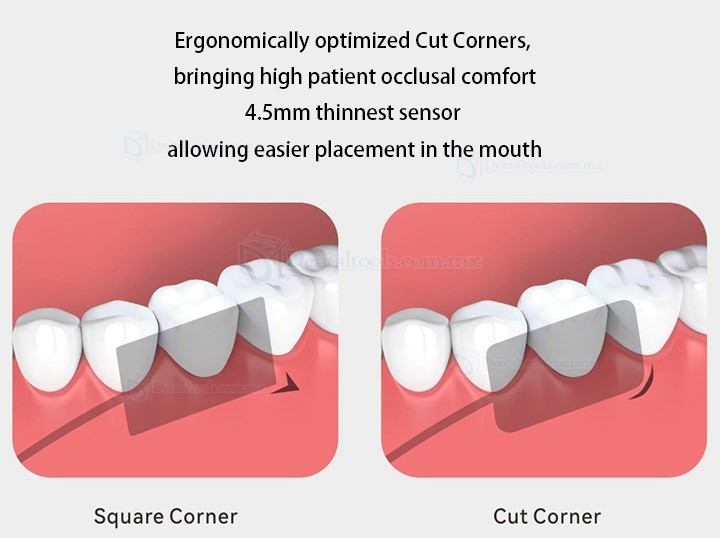 Woodpecker RVG DBA Radiovisiografo RX i-Sensor H1 Sensor Digital de Rayos X Dental