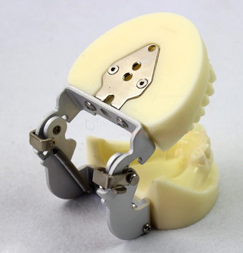 LENOVO Modelo de implante dental extraíble