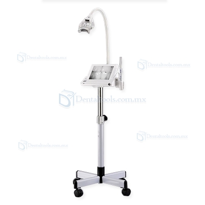 8 PulgadaLCD Monitor Teeth Whitening + Detal Cámara intraoral M-86 Trolley-type Con SD Card