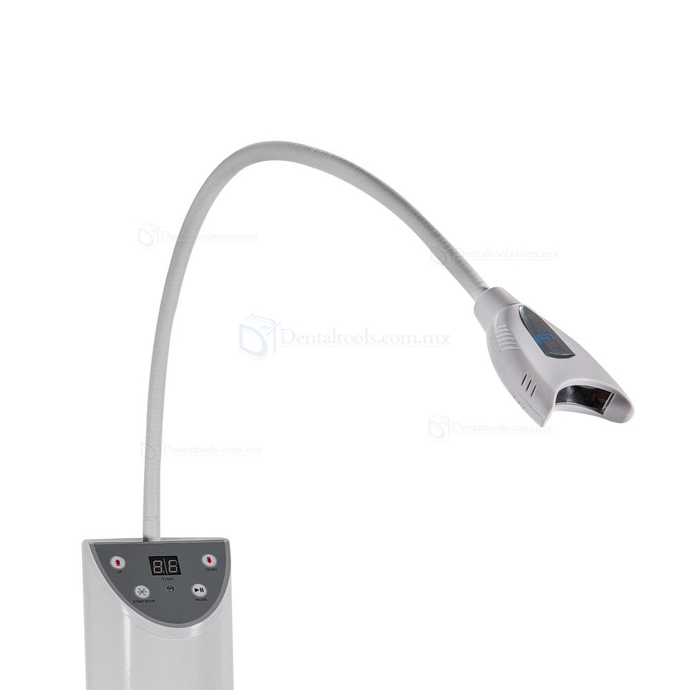 Magenta® Blanqueamiento de dientes Sistema de Blanqueamiento Luz LED MD666