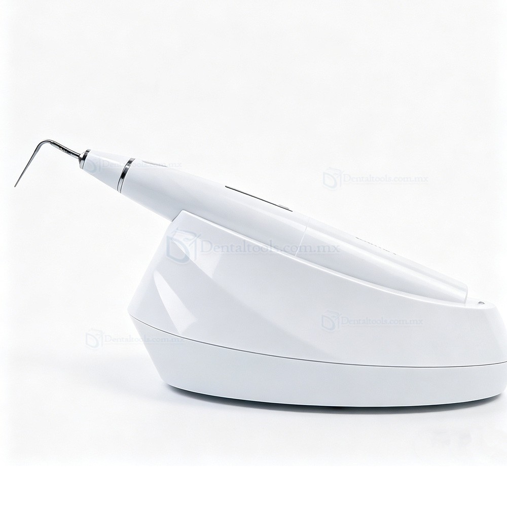 Mecco Fill-P Pluma térmica inalámbrica para obturación endodóntic Mecco Fill-P Pluma térmica inalámbrica para obturación endodóntic