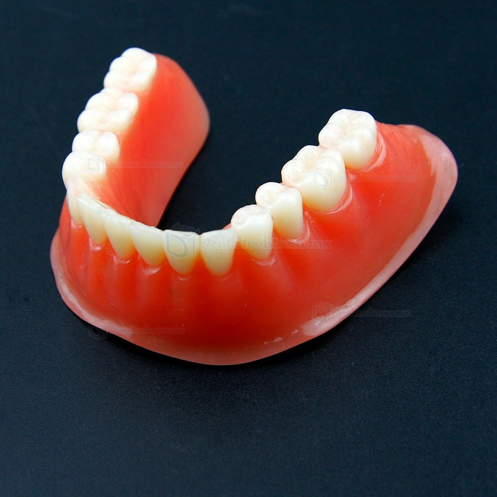 Dental Sobredentadura Typodont Modelo Inferior Precision Implant Dorado #6009