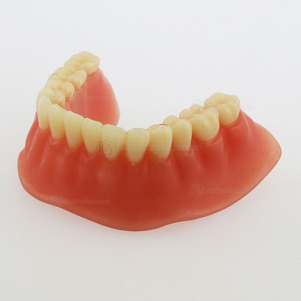 Modelo dental de mandíbula con 4 implantes para demostración 6008 Modelo dental de mandíbula con 4 implantes para demostración 6008