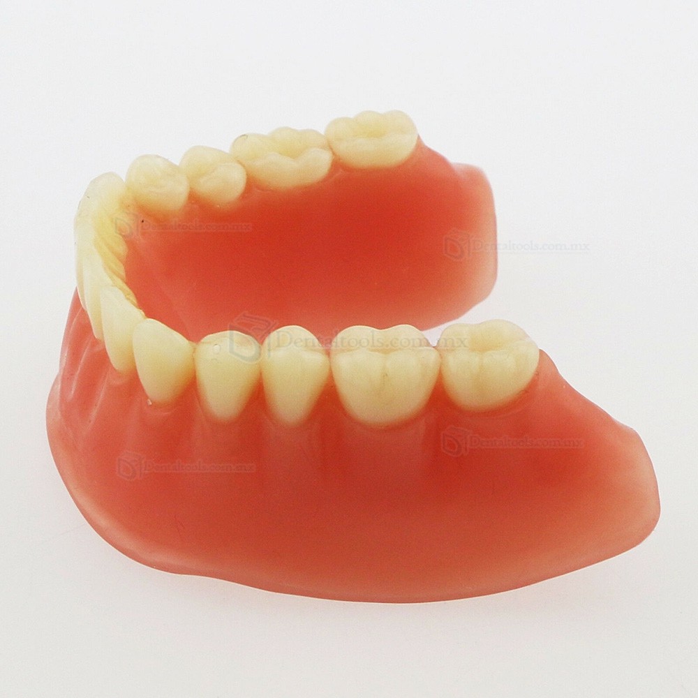 Modelo dental de mandíbula con 4 implantes para demostración 6008 Modelo dental de mandíbula con 4 implantes para demostración 6008