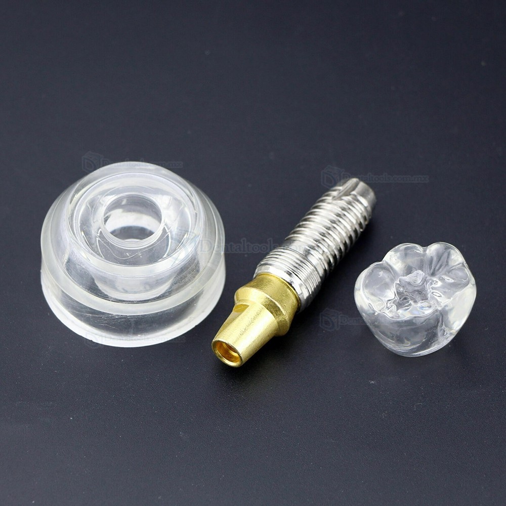 Modelo demostrativo de implante dental transparente desmontable ampliado 2.5 veces Modelo demostrativo de implante dental transparente desmontable ampliado 2.5 veces