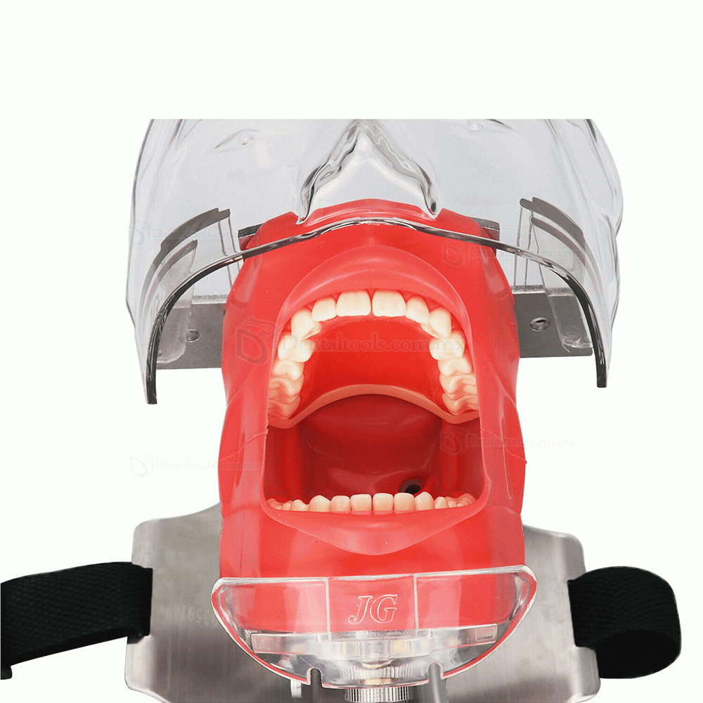  Fantoma Dental Maniquí Completo para Reposacabezas de Sillón Dental Compatible con Nissin Kilgore