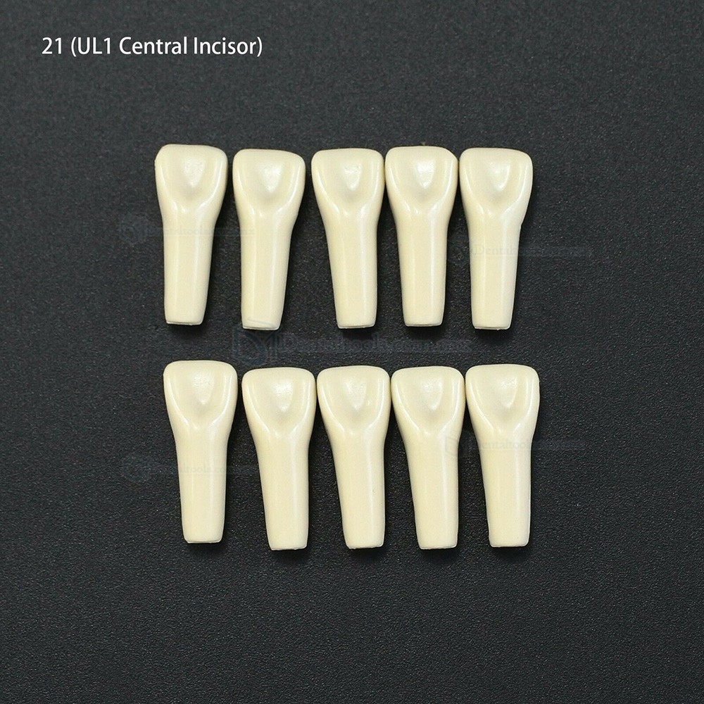 10 unids/lote de dientes dentales tipodonto dientes de repuesto compatibles con Columbia 860