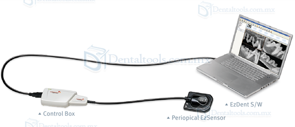 Dental Digital Dental Máquina Sensor Con Cable de conexión USB