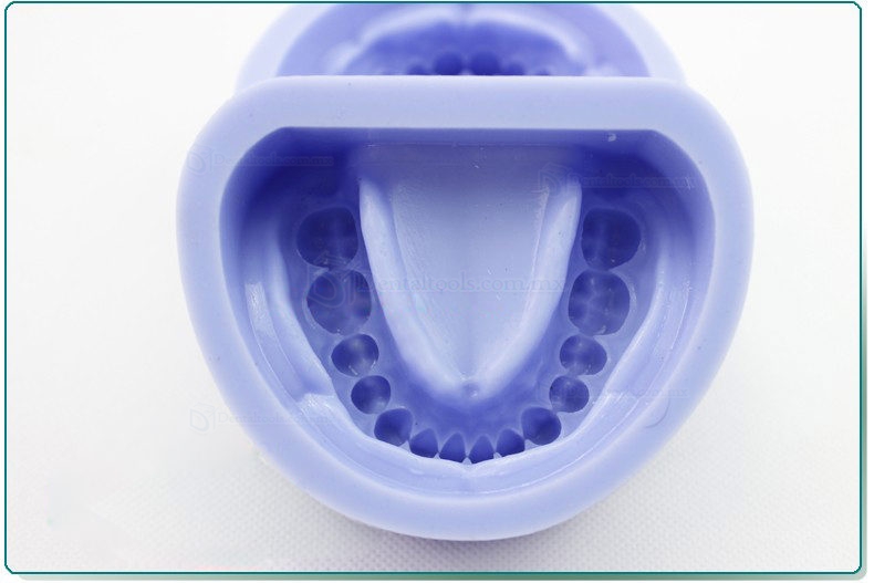 LENOVO Modelo dental de silicona