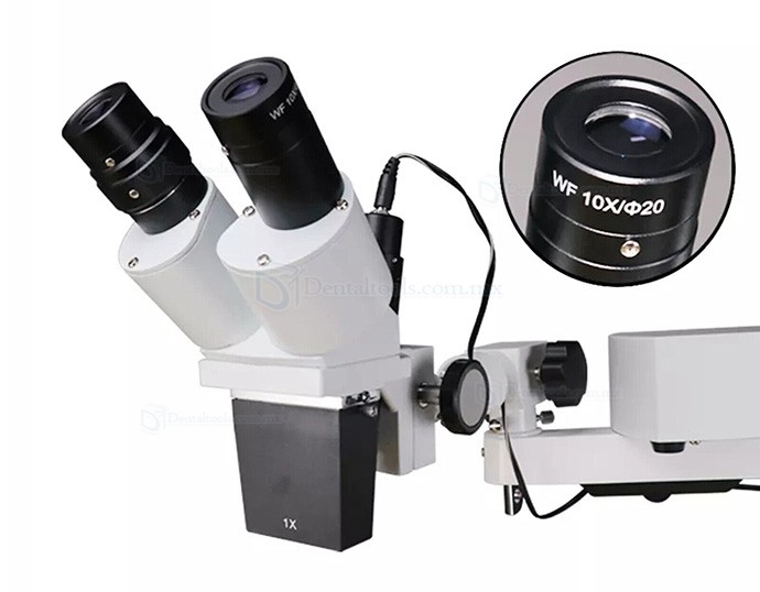 10X/15X/20X Microscopio de funcionamiento endodóntico dental microscopio quirúrgico endo mesa o escritorio montado