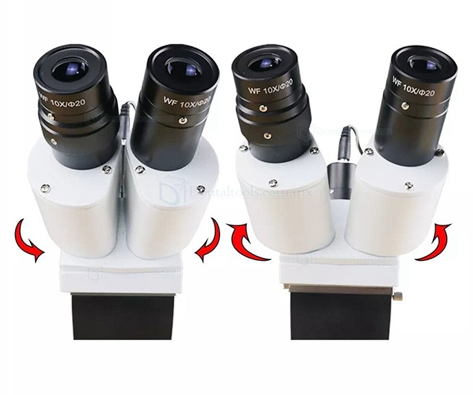 10X/15X/20X Microscopio de funcionamiento endodóntico dental microscopio quirúrgico endo mesa o escritorio montado