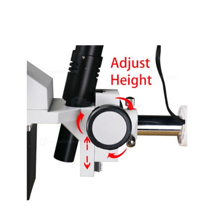 10X/15X/20X Microscopio quirúrgico endodóntico dental con luz LED para unidad de sillón dental