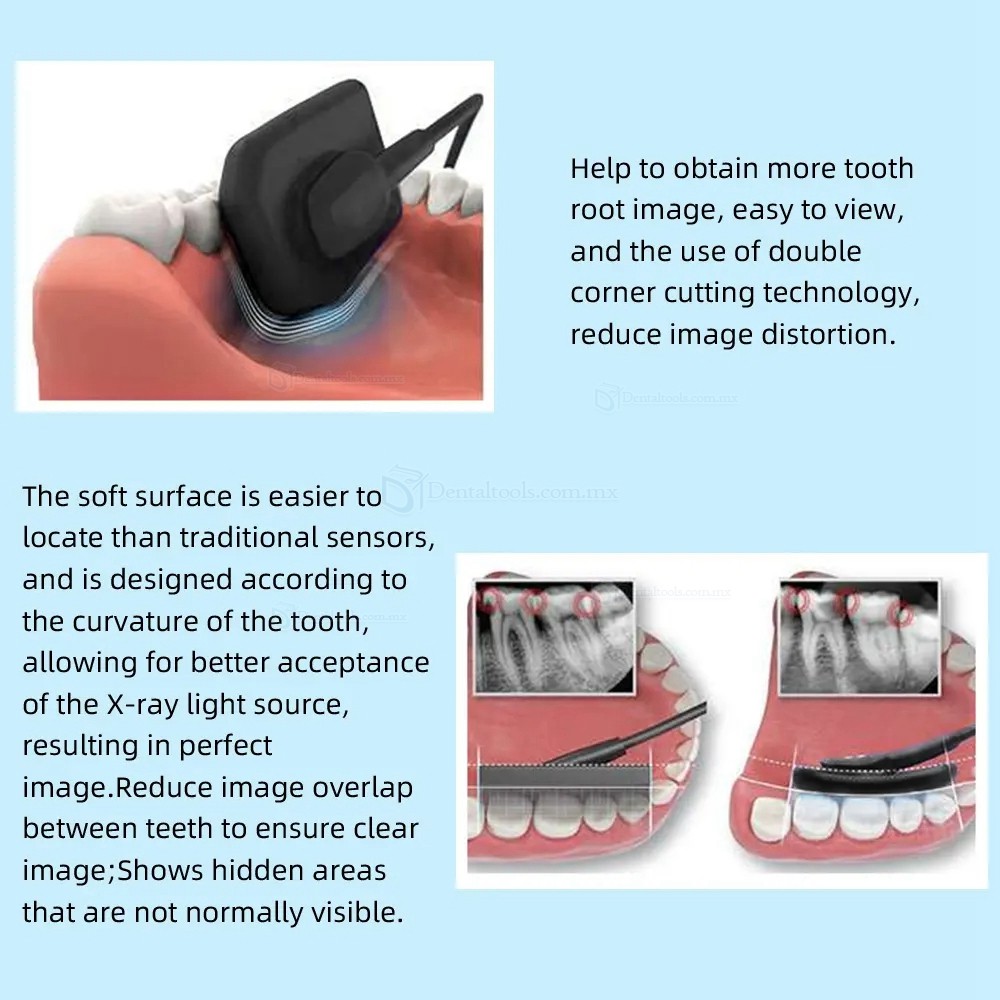 Sensor Digital de Rayos X Dental Sensor Radiográfico Intraoral Sensor RX Dental RVG