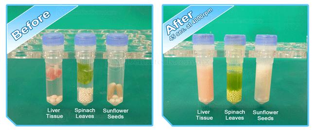 Zoneray Beadbug Homogeneizador de microtubos para homogeneización de molienda de lisis